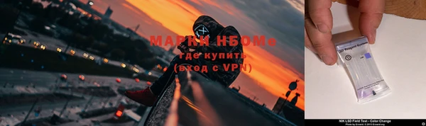 apvp Алзамай